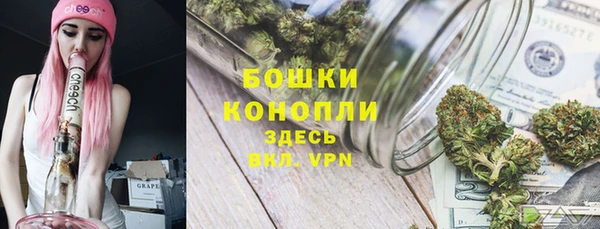 прущие грибы Верхний Тагил