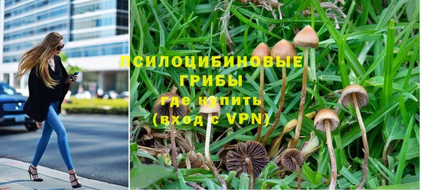 гидра Бугульма