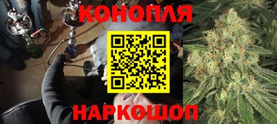 крисы Ливны