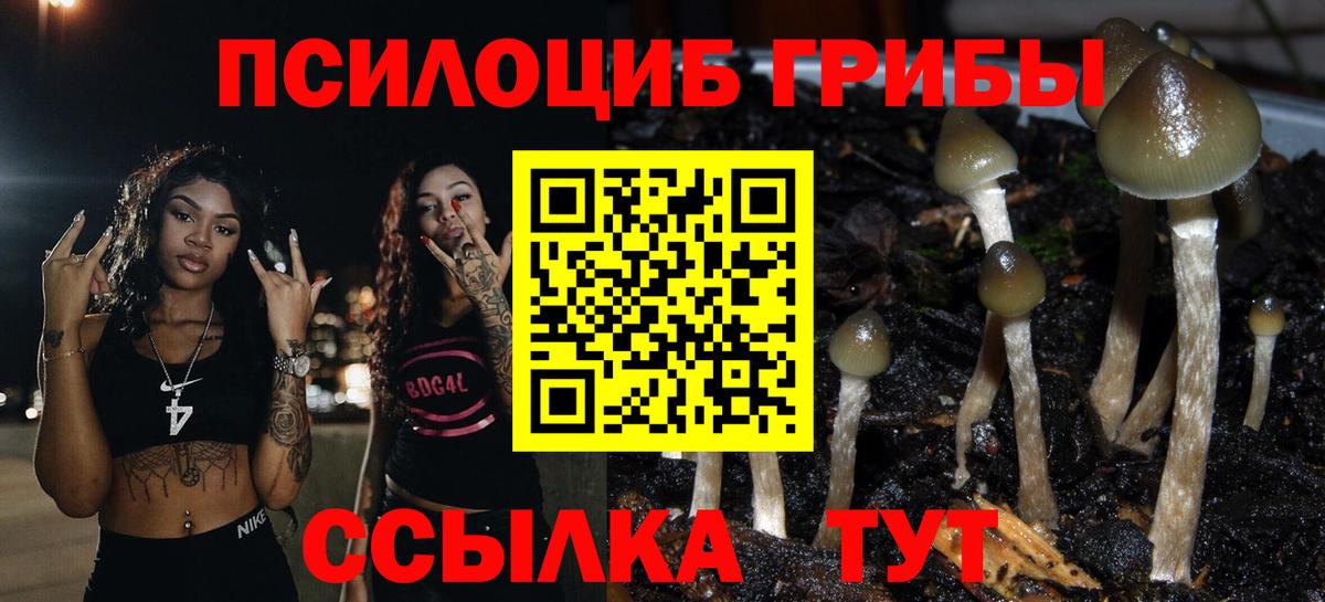 Псилоцибиновые грибы Magic Shrooms Воркута