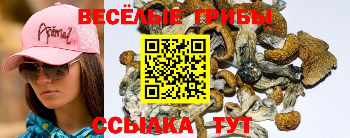 Воркута  купить наркотик  Вход с VPN  Галлюциногенные грибы Psilocybine cubensis 